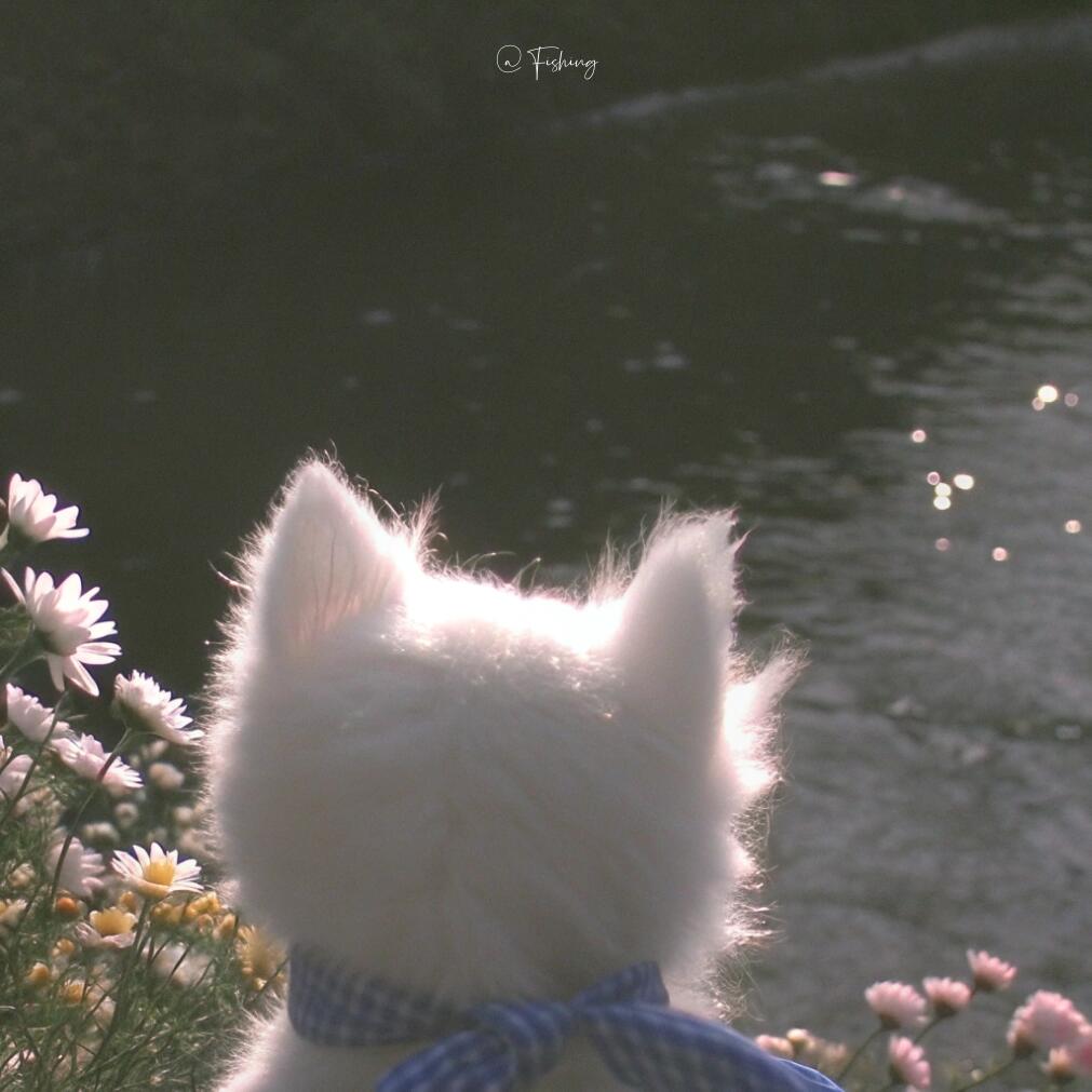 槐序音乐工作室